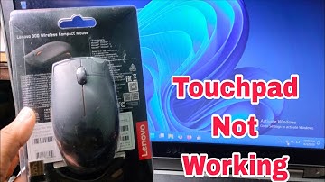 Laptop Touchpad Not Working Problem Properly in Windows 11 | Mouse Courser Point Error#Macnitesh