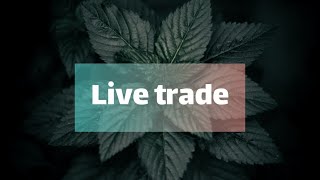 لایو ترید|live trade