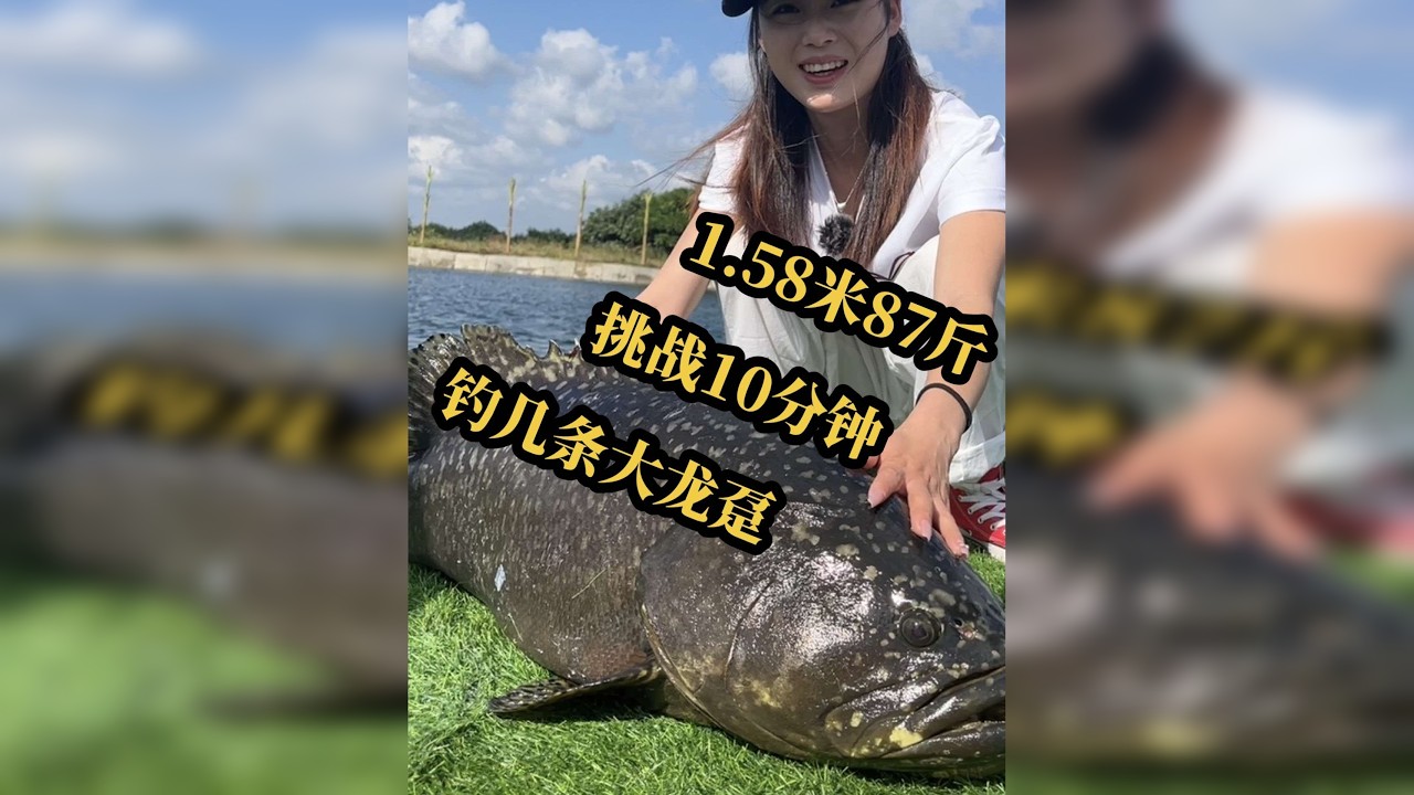 小个子，大能量。10分钟到底能钓几条大龙趸？