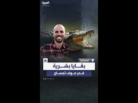 كان في رحلة استجمام مع عائلته العثور على بقايا طبيب في جوف تمساح طوله 5 أمتار