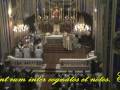 Santa Messa Solenne 6 - Alleluja, Vangelo