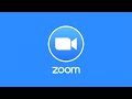 Directory Talk - Zoom Meeting - Custom Directory Solution.