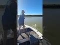 This good Barra nearly had me busted in the sticks! #barramundi #coastliners #fishingaustralia