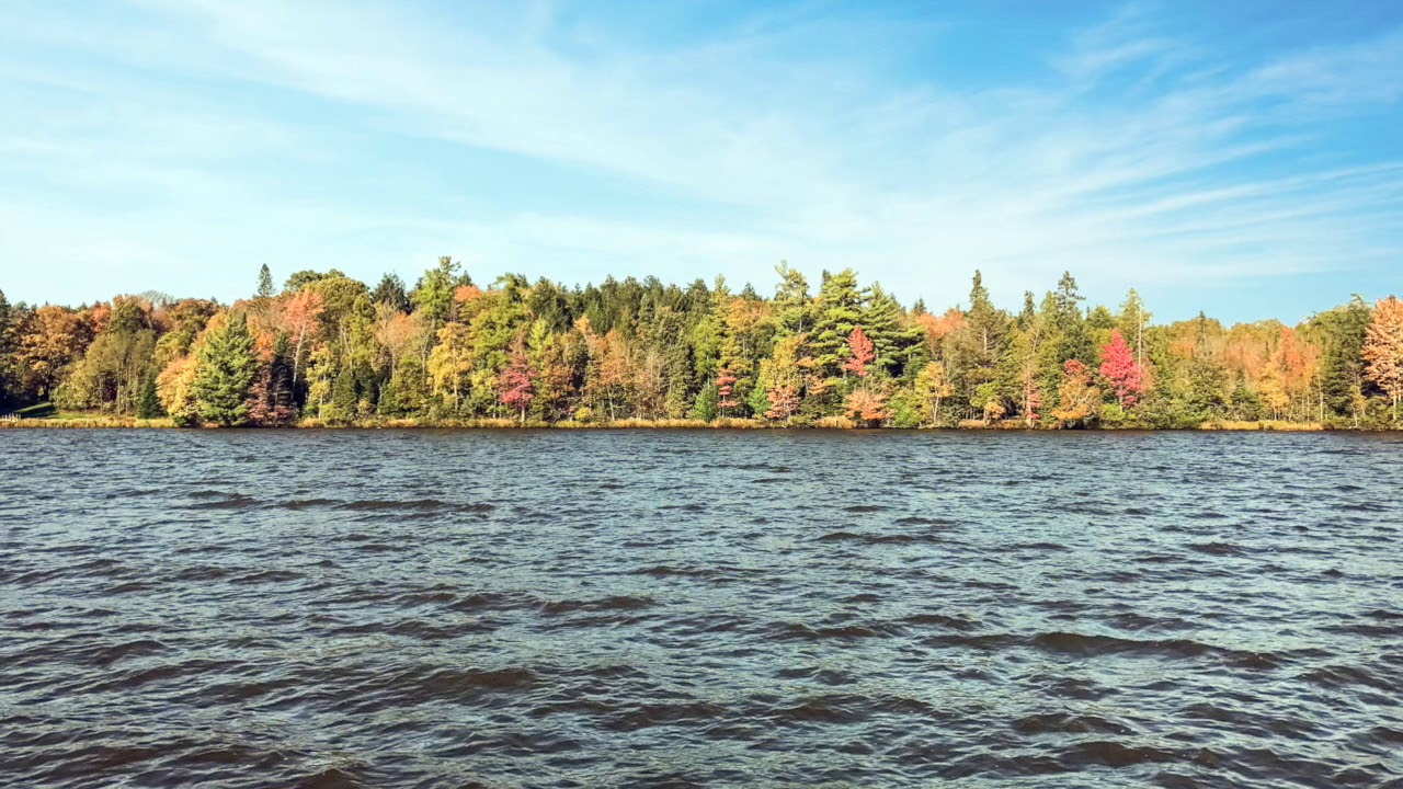 Catfish Lake Lot YouTube