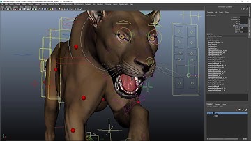 FREE Lion rig - video demo 2 - testing rig functions