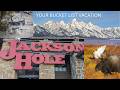 Jackson Hole Ski Vacation Guide 🏔️ Wildlife, Legendary Skiing &amp; Luxury Lodging in Wyoming