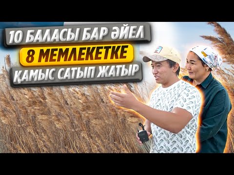 Video: Амазонка сатып алууну ырастадыбы?