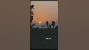 حالات واتس اب - تلاوة جميلة - للشيخ توفيق الصائغ - الله نور السموات والارض