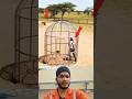 एक शेर ने #muhammadﷺ #allah #duet ❤🤔🌼🥀👍💔#youtubeshorts #trending #islamicpost #shorts