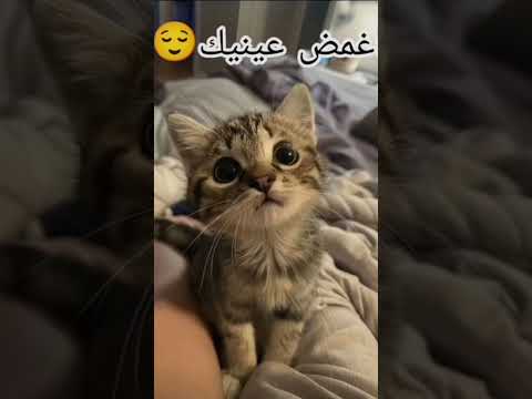 قولو امينننننن 