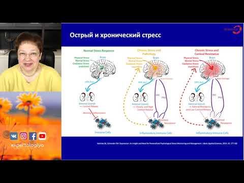 Экспертология | Функциональная гипоталамическая аменорея Пустотина О.А.