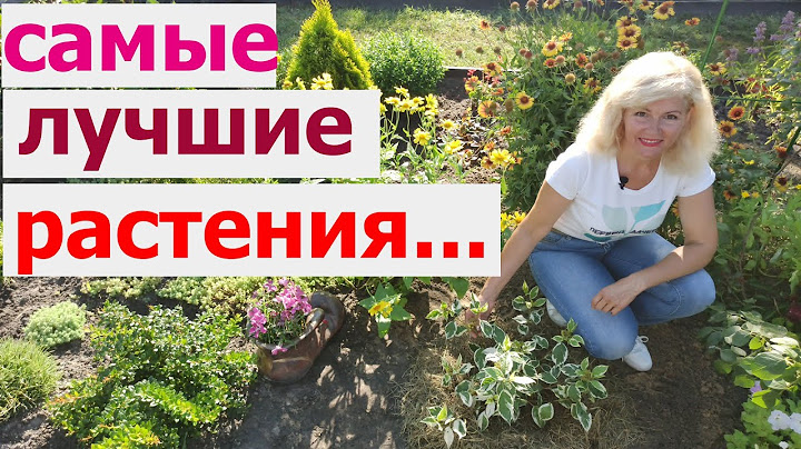 Самые лучшие растения для любой почвы