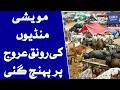 Livestock Markets Across Pakistan Buzz With Massive Crowds | Dawn News