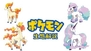 【ポケモン解説】「ポニータ」「ギャロップ」の生態・小ネタ・鳴き声について！