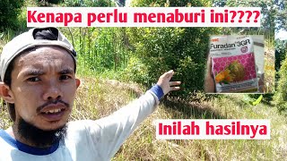 Download Lagu Manfaat furadan pada tanaman || Cara merawat tanaman. @BugisFarm MP3