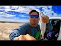 Where to Wade Fish for Speckled Trout | San Luis Pass Galveston! Drone footage!