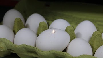 Coherent | Laser Marking an Egg