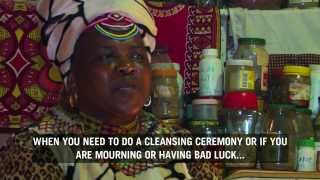 Daily Suntv The Power Of Black Chicken