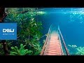 D2U club - джунгли под водой - Brazil Bonito