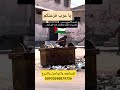 من غزه استحلفكم بالله تشاركوا المقطع خلي صوتنا يصل العالم مشهد يوجع القلب تبرعوا لاهل غزه