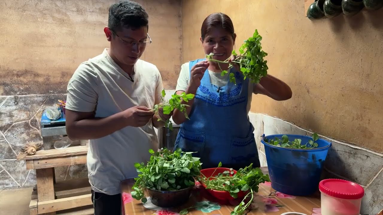 Madrugué para ir a recolectar berros para el almuerzo; los grandes privilegios de vivir en un pueblo