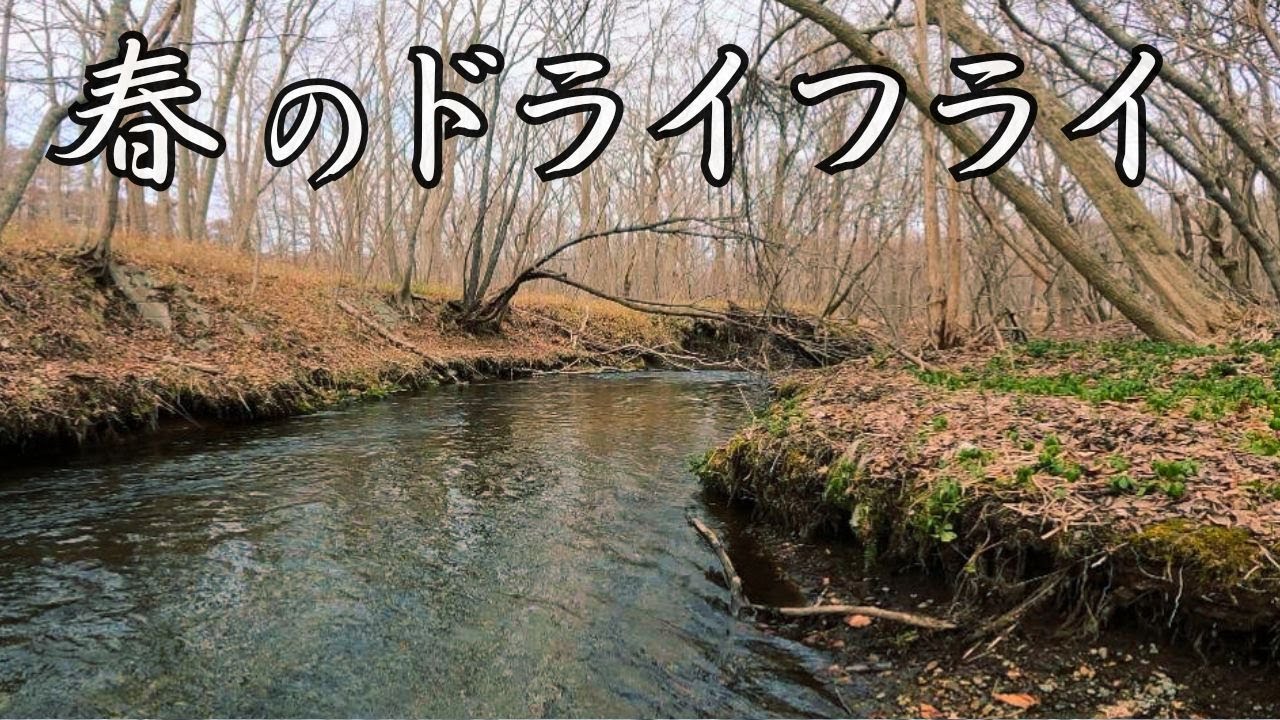 早春の道央、ドライフライ釣行［北海道］［フライフィッシング］