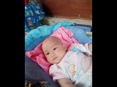 camera iphone 8 plus apk น้องออดี้