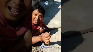 Proses Penangkapan Ular Yang Hendak Masuk Rumah Warga Di Desa Sitimerto Kecamatan Pagu Kediri news