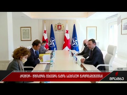 პრემიერ-მინისტრის შეხვედრა ნატო-ს სპეციალურ წარმომადგენელთან