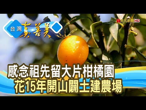 無毒環保“全方位有機農場”｜梅居休閒農場｜【台灣真善美】2025.02.23