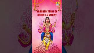 #shabarimalethajyothi #shorts #devotionalsongs #ayyappasong #ytshorts #ajaywarrier #shortvideo