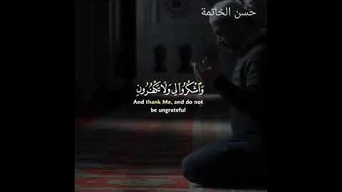 اجمل التلاوات الهادئة للقارئ إسلام صبحي ❤️ رووووووعة|حسن الخاتمة|