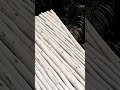 Cobertura de biriba no pergolado. Áudio do @RafaelPedreiro #pedreiro #obra #construção #reforma
