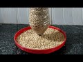 #DIY#homemade#simple#feeder  How to Make Feeder For Birds