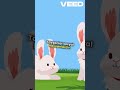 Tavşanlar #aboneol #like #belgesel #tavşanlar #tavsan #rabbit #beğen