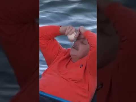 Fan almost passed