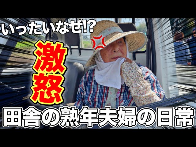 少年隊 - YESか農家 群馬・千葉の生産者と石川佳純さんが出演するJA全農の新CM