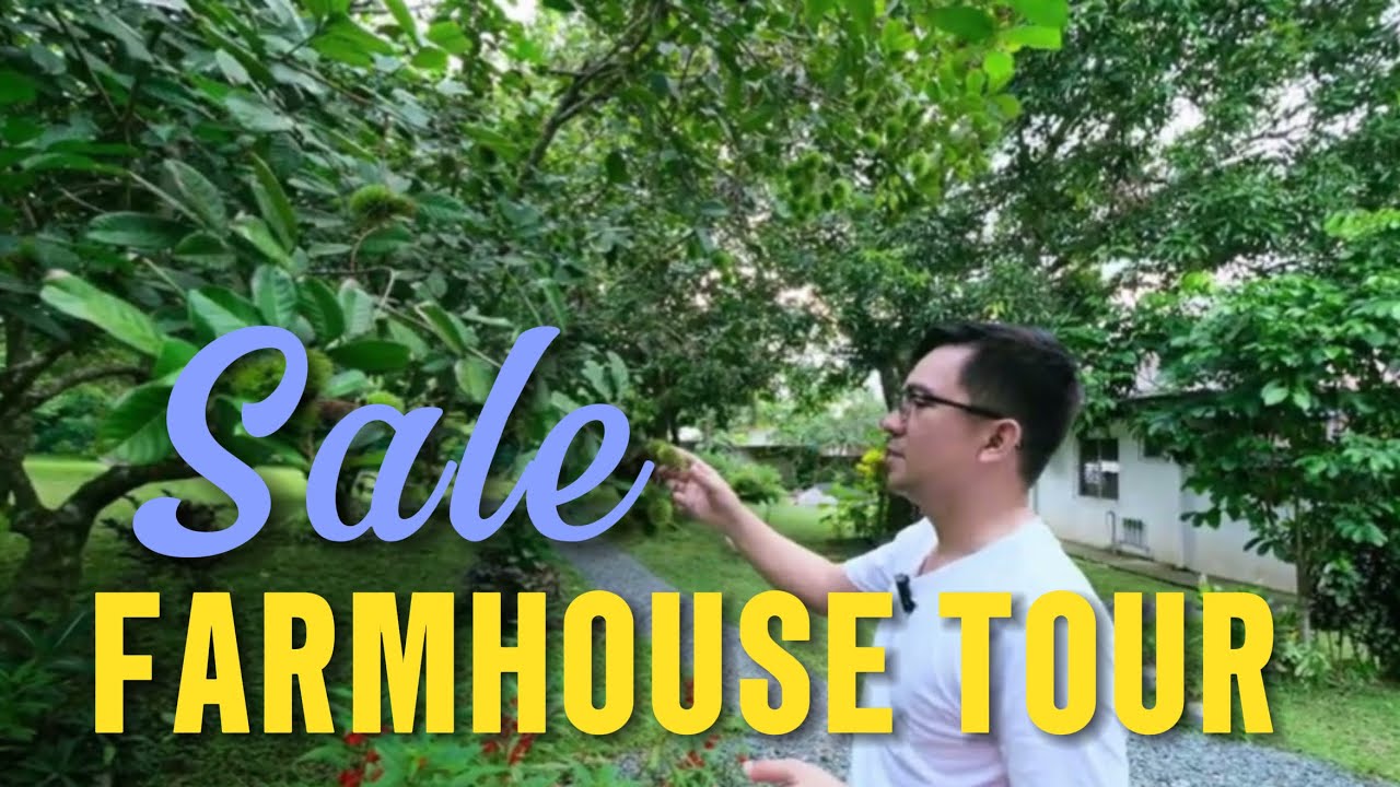 FARMHOUSE AMADEO CAVITE NEAR COFFEE AMADEO | HOUSE TOUR V43