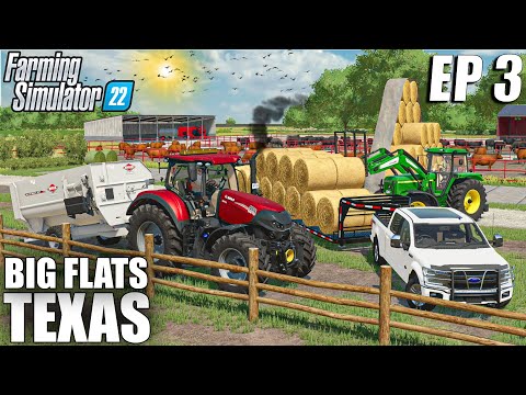 STARTING A CATTLE BUSINESS ON THE FARM | Big Flats Texas | Farming Simulator 22 - Episode 3