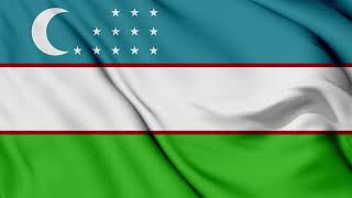 Uzbekistan Flag Waving Background | HD | ROYALTY FREE screenshot 1