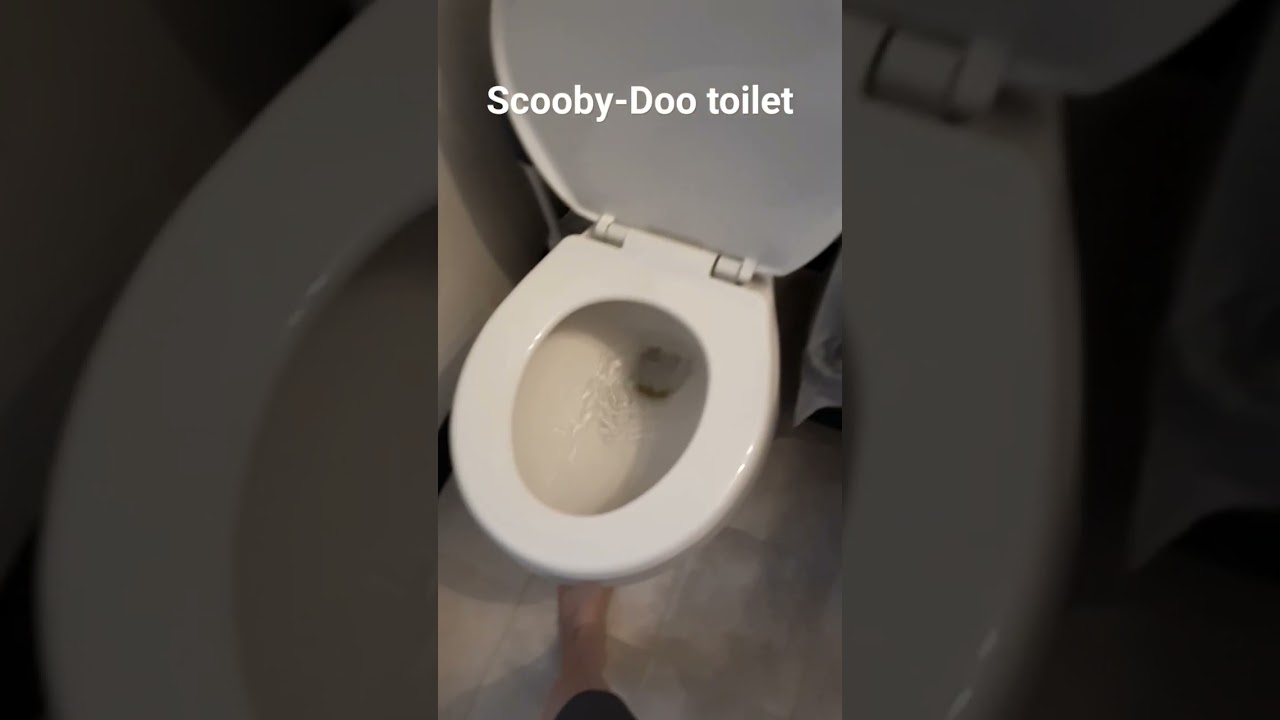Scooby-Doo toilet