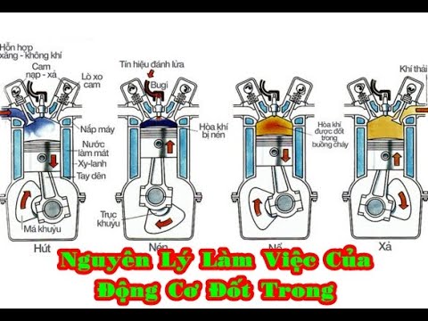 Video Công Nghệ 11 - Bài 21 Nguyên Lý Làm Việc Của Động Cơ... - youtube