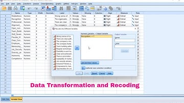 Data Transformation using SPSS - Recoding different variables