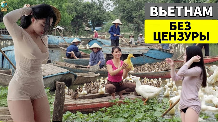 САМЫЙ ГРЕШНЫЙ КРАЙ Это происходит каждый день во ВЬЕТНАМЕ! Ошеломляющие факты о ВЬЕТНАМЕ!