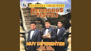 Video voorbeeld van "Marimba Orquesta Hermanos Tistoj - Zarabada Diferente 3: Tristes Recuerdos / Ojos Negros Nunca Engañan / Amor Fracasado / Veinte..."