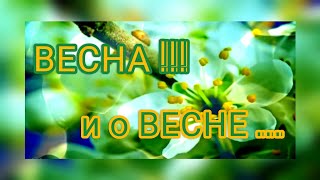 ВЕСНА !!! ВЕСНА !! ВЕСНА !!! ВОСХИТИТЕЛЬНЕЙШАЯ ПОРА !!! ПРЕКРАСНАЯ МЕЛОДИЯ. КРАСИВЫЕ СЛОВА . 241.