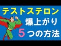 【筑波大学】テストステロンを増やす5つの方法 ~筋トレ・食事・・・効果抜群です~