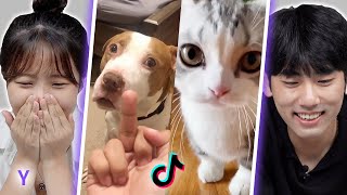 Korean Guy&Girl React To TikTok ‘Adorable Pets’ That Will Make your Day Better 120% | Y