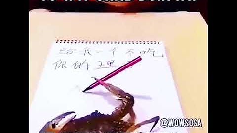 crab doing homework