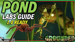 GROUNDED POND LAB GUIDE How To Get The Two Pond Chips